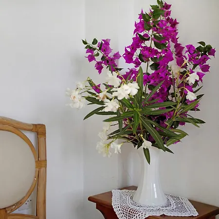 Apartament Areti Orfeas Budget